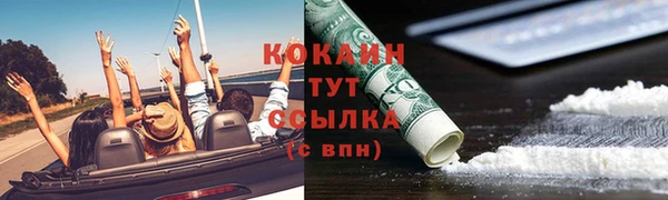 PSILOCYBIN Верея