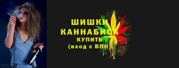шишки Верхний Тагил