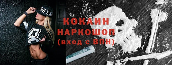 шишки Верхний Тагил