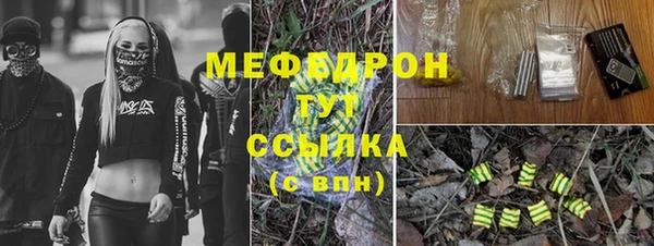 шишки Верхний Тагил