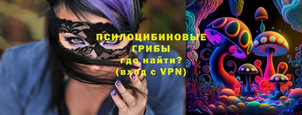 шишки Верхний Тагил