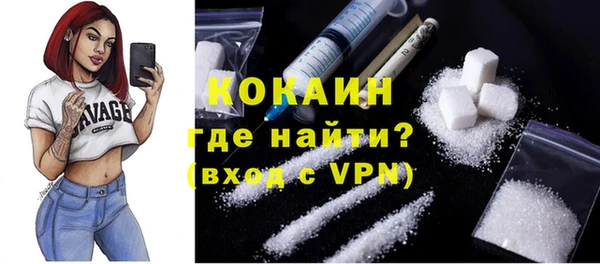шишки Верхний Тагил